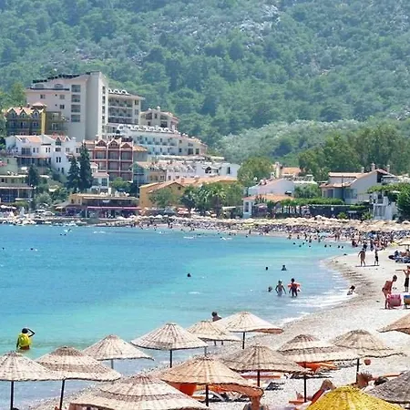 Calipso Turunç